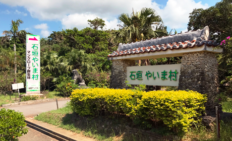 やいま村
